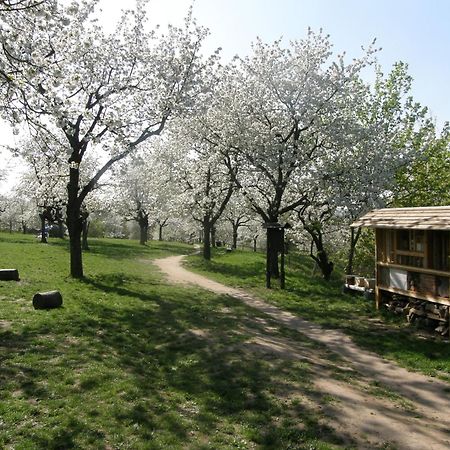 Ubytovna Toulcuv Dvur Prag Dış mekan fotoğraf