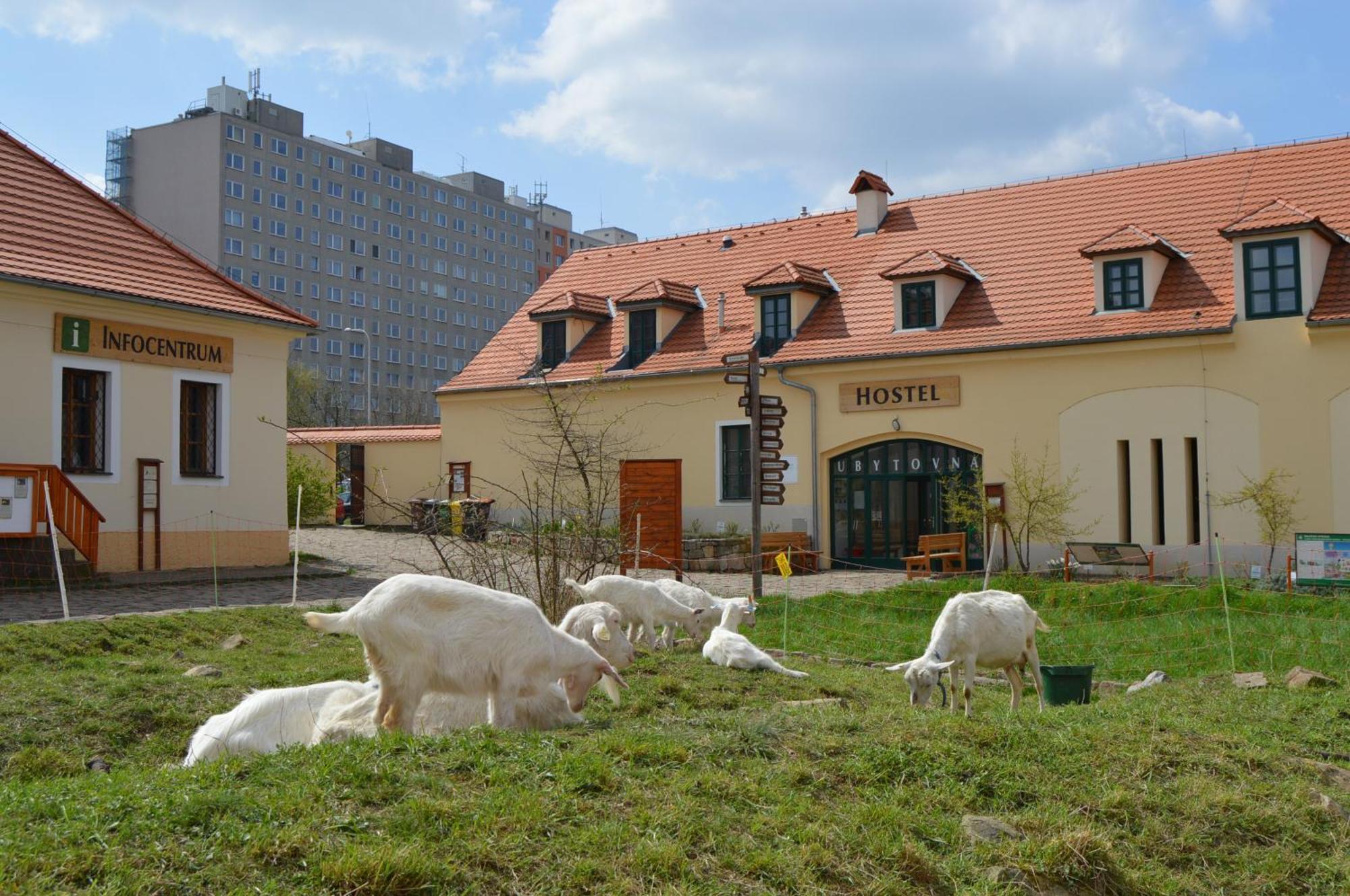 Ubytovna Toulcuv Dvur Prag Dış mekan fotoğraf